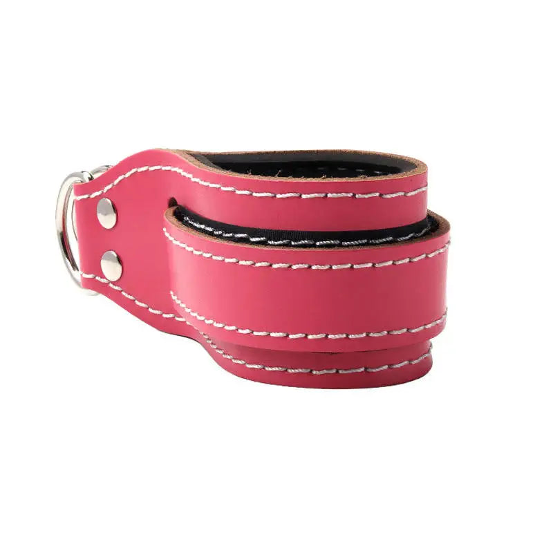 Wholesale Factory Custom Adjustable Neopre Double D-Ring Legend Fitness Back Support Ankle Strap