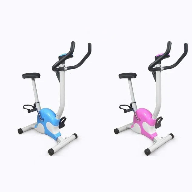 Manual Indoor Exercise Bike for Body Fitness Spinning Fitness Bike for Indoor Workout