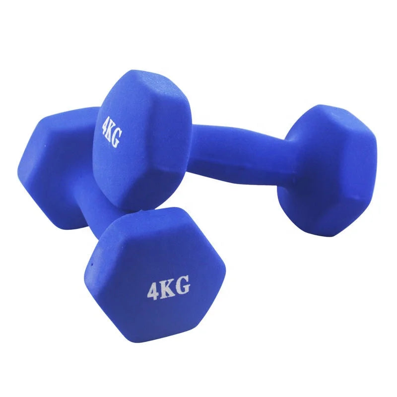Women's Home Use Round Rubber Dumbbells for Exercise and Fitness