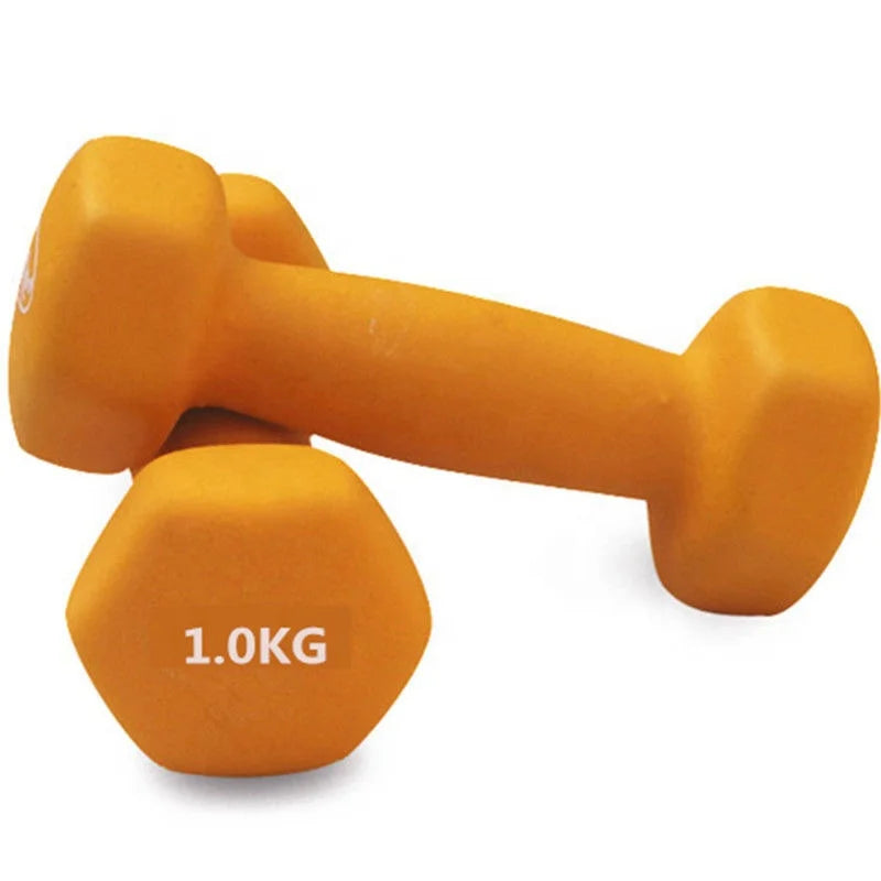Women's Home Use Round Rubber Dumbbells for Exercise and Fitness
